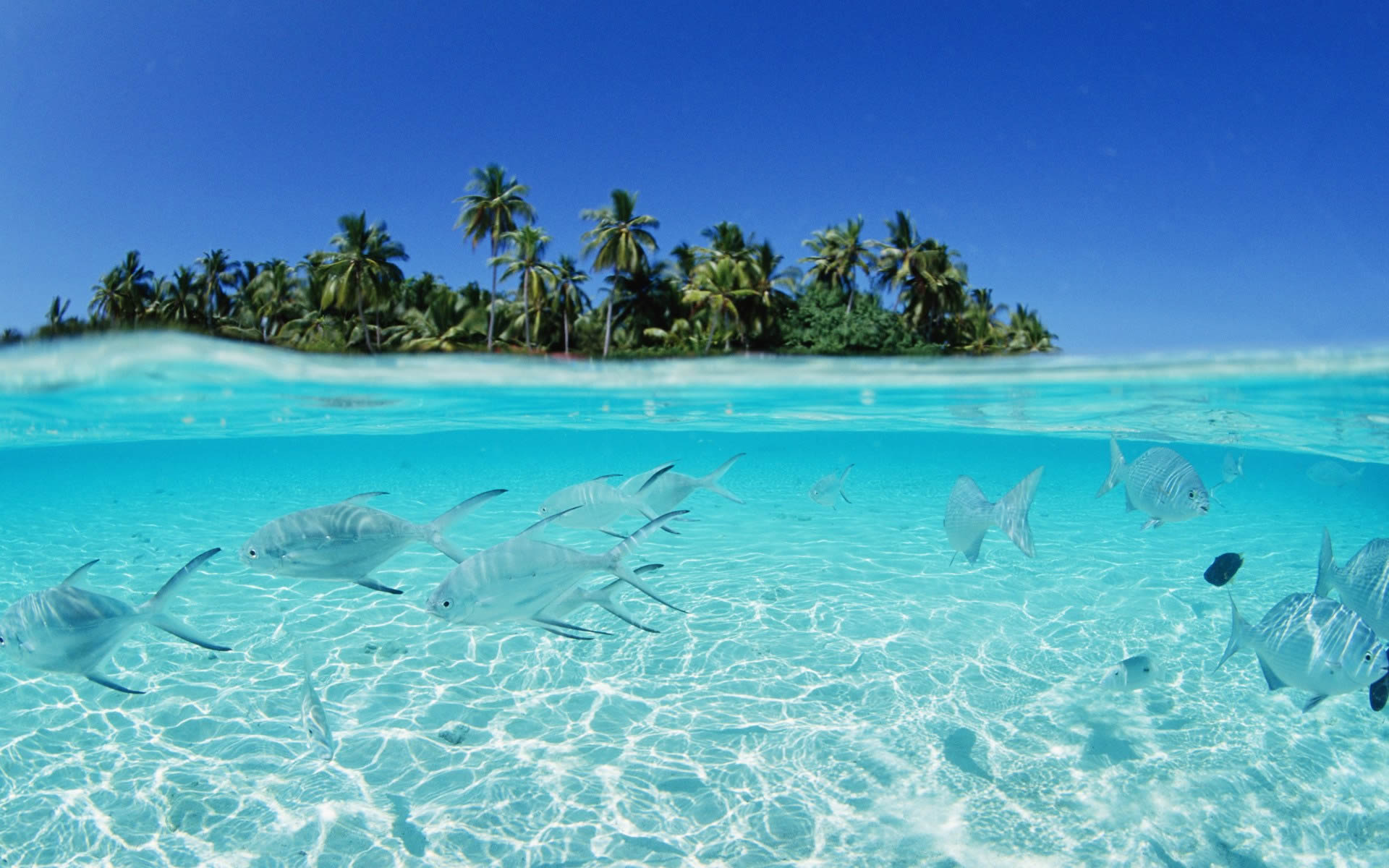 Maldives Aquamarine