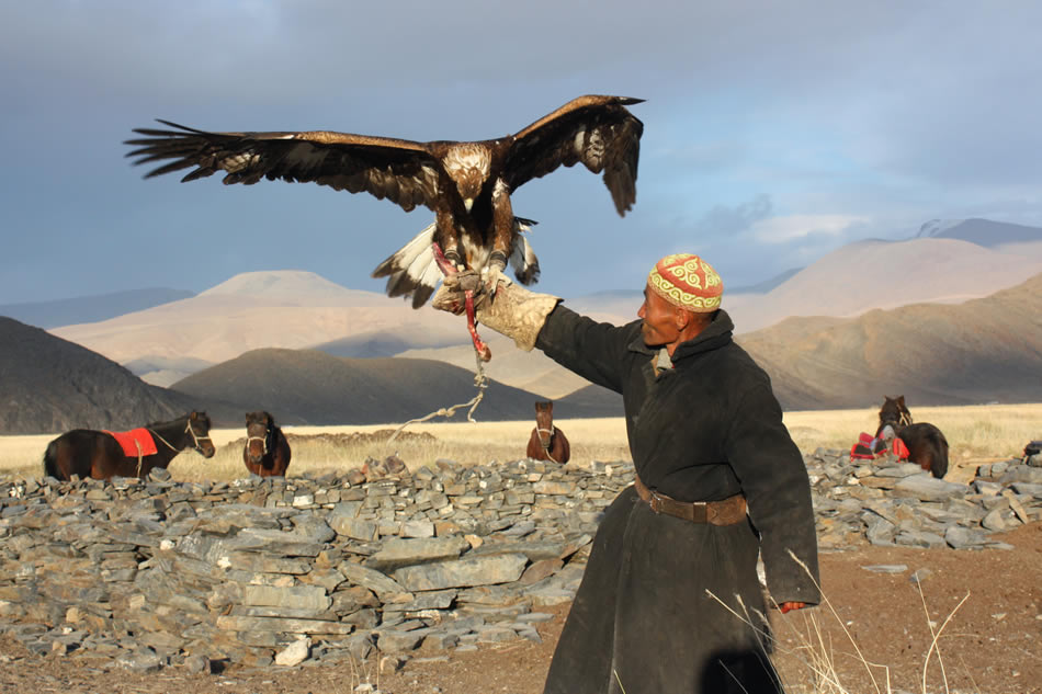 Mongolia eagle