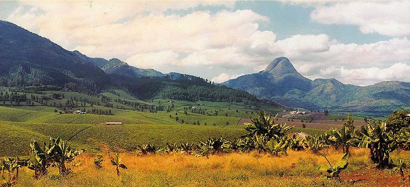 Gurue Mount Mozambique