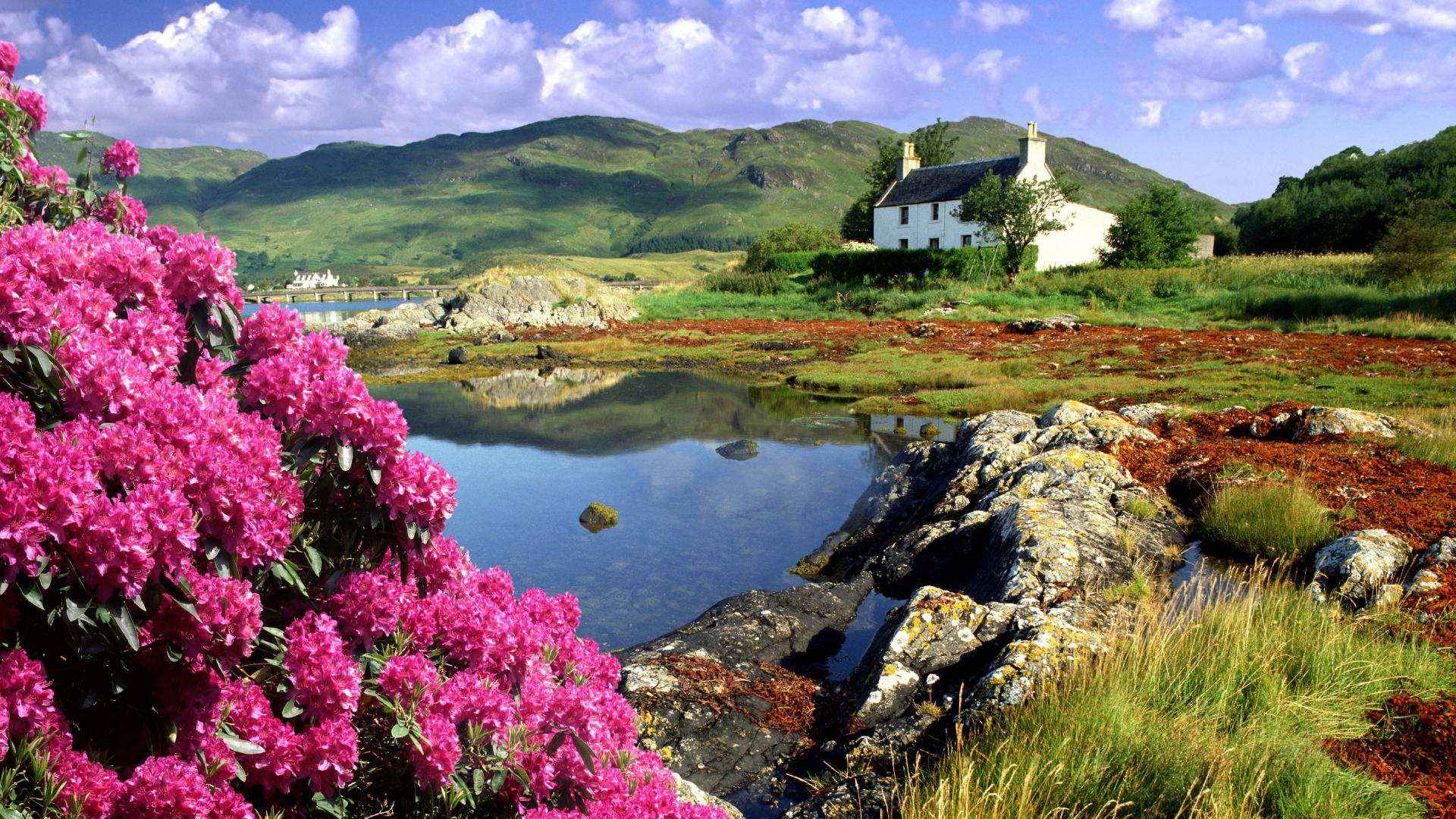 cottage scotland