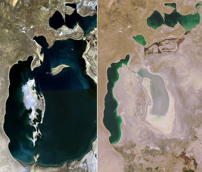 Aral Lake 1989 2008