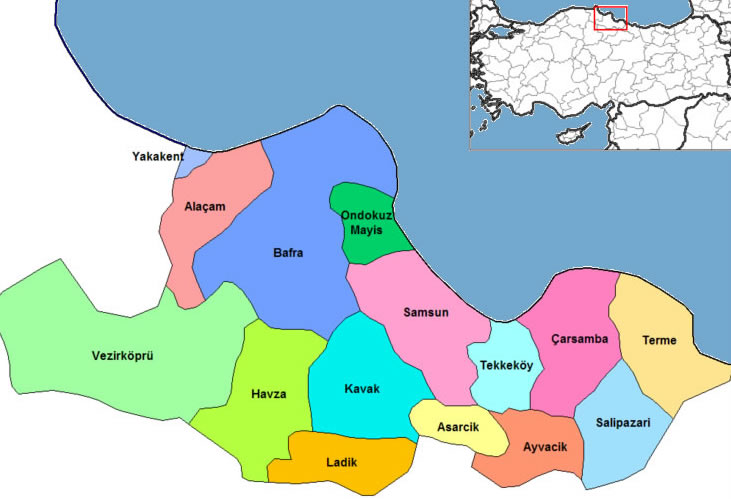 Kavak Map, Samsun