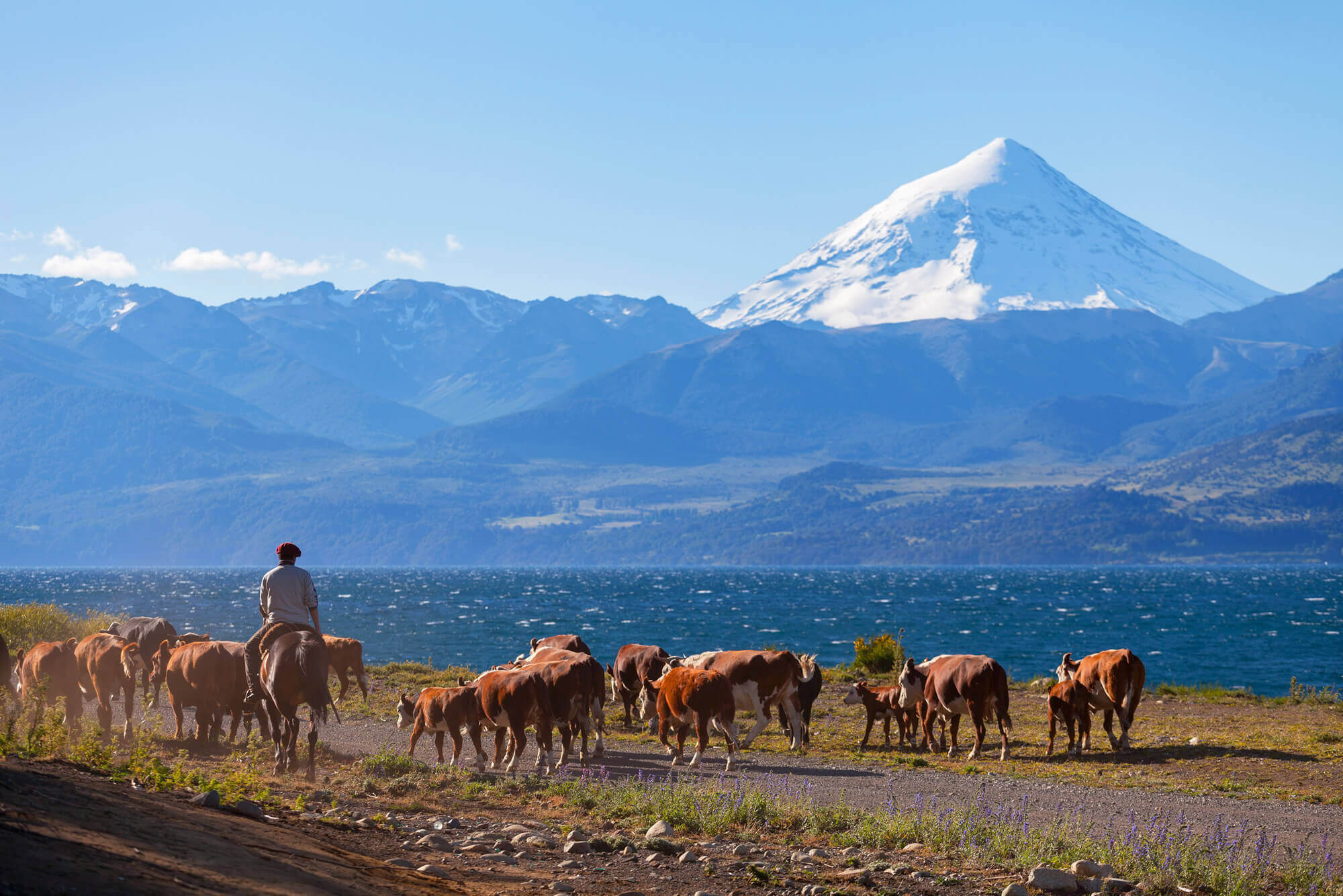 Lanin, Patagonia, Argentina