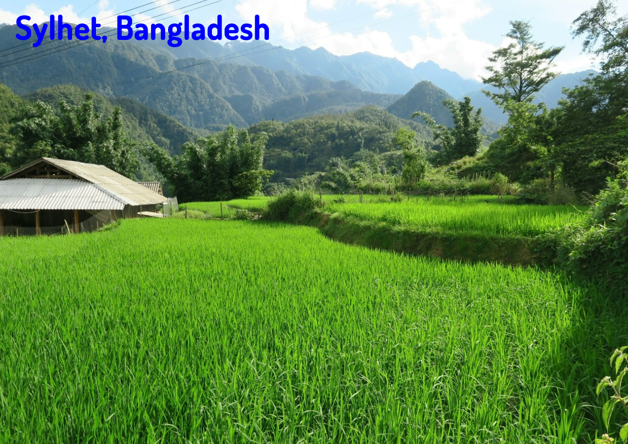 Sylhet Bangladesh