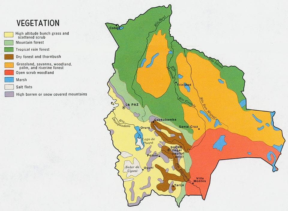 Vegetation Map Bolivia 1971