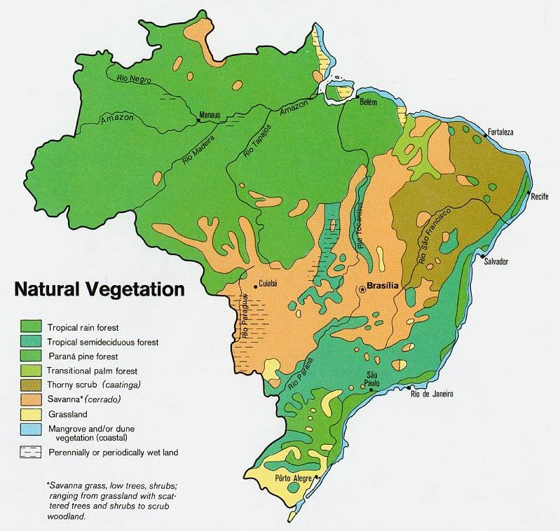 Brazil Natural vegetation Map 1977
