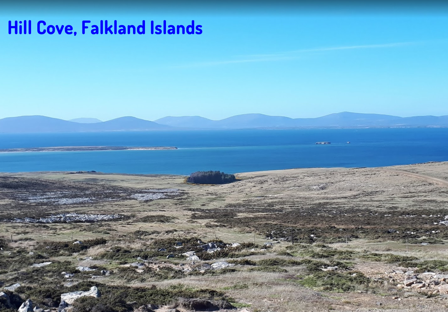 Hill Cove Falkland Islands