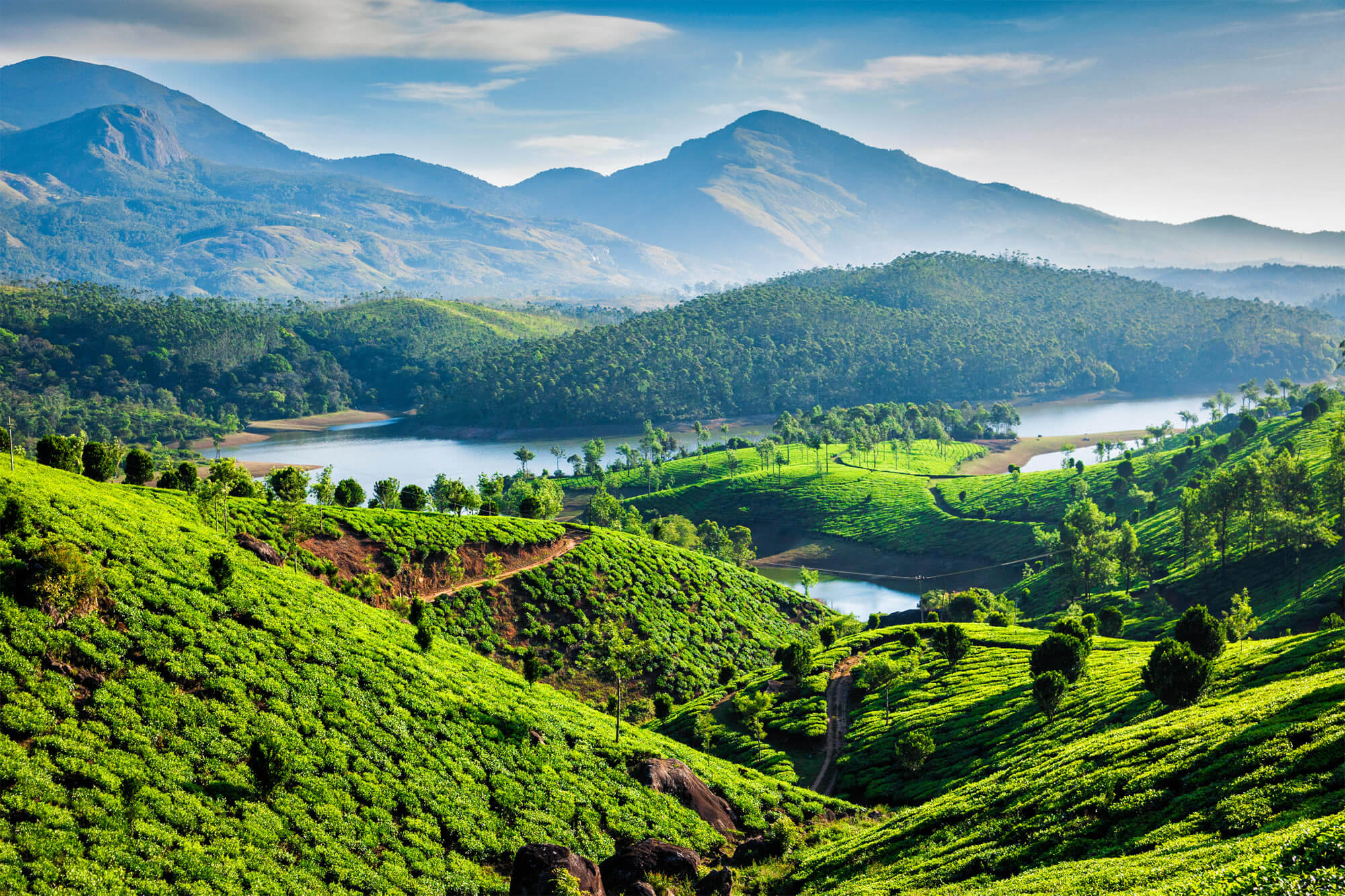 Tea plantations and Muthirappuzhayar River, India