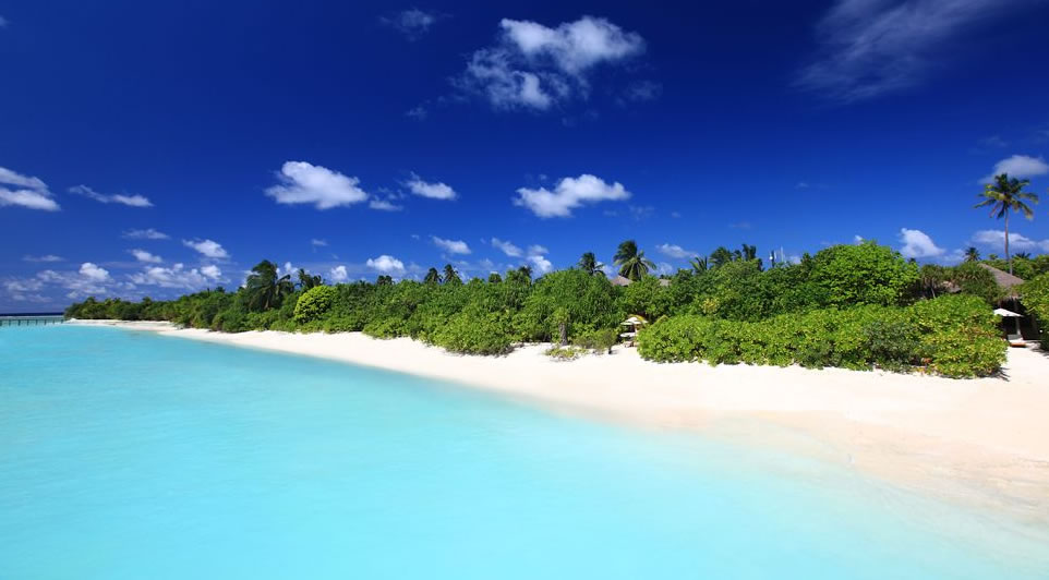 laamu beaches maldives