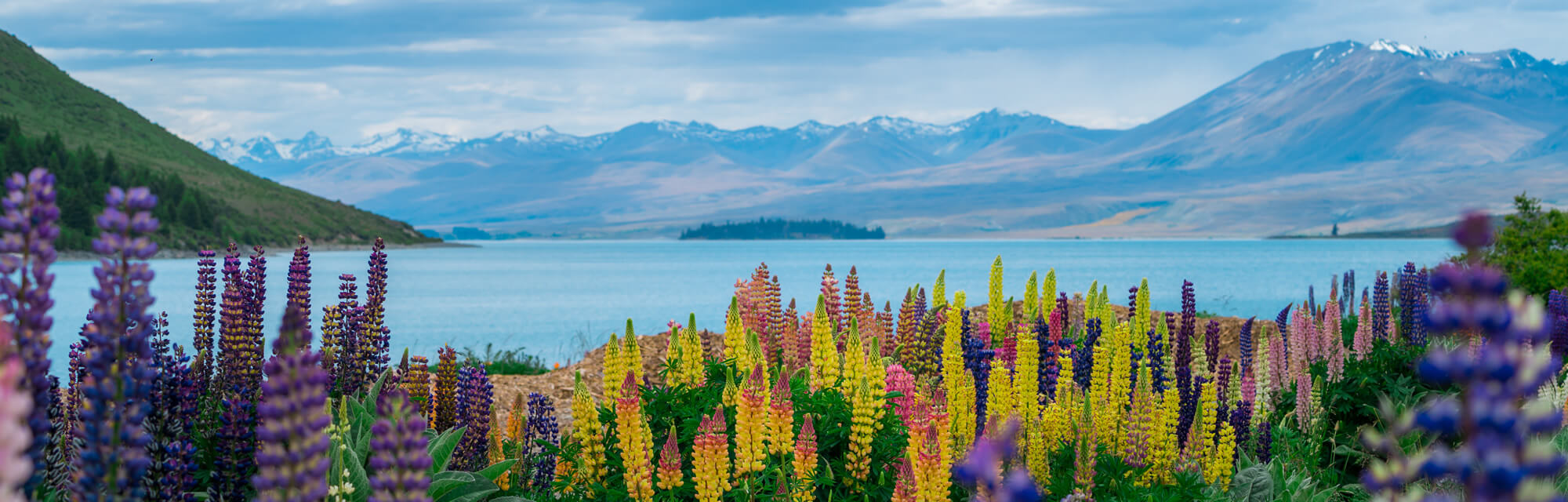 Lake Tekapo, New Zealand