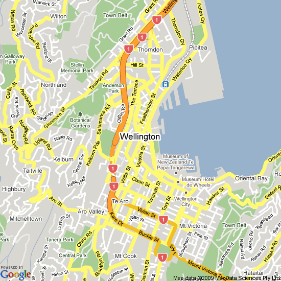 Wellington map