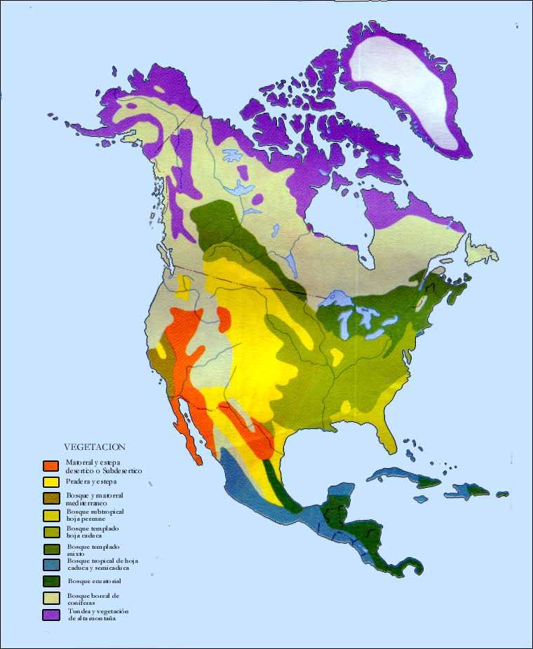 North America vegetation map