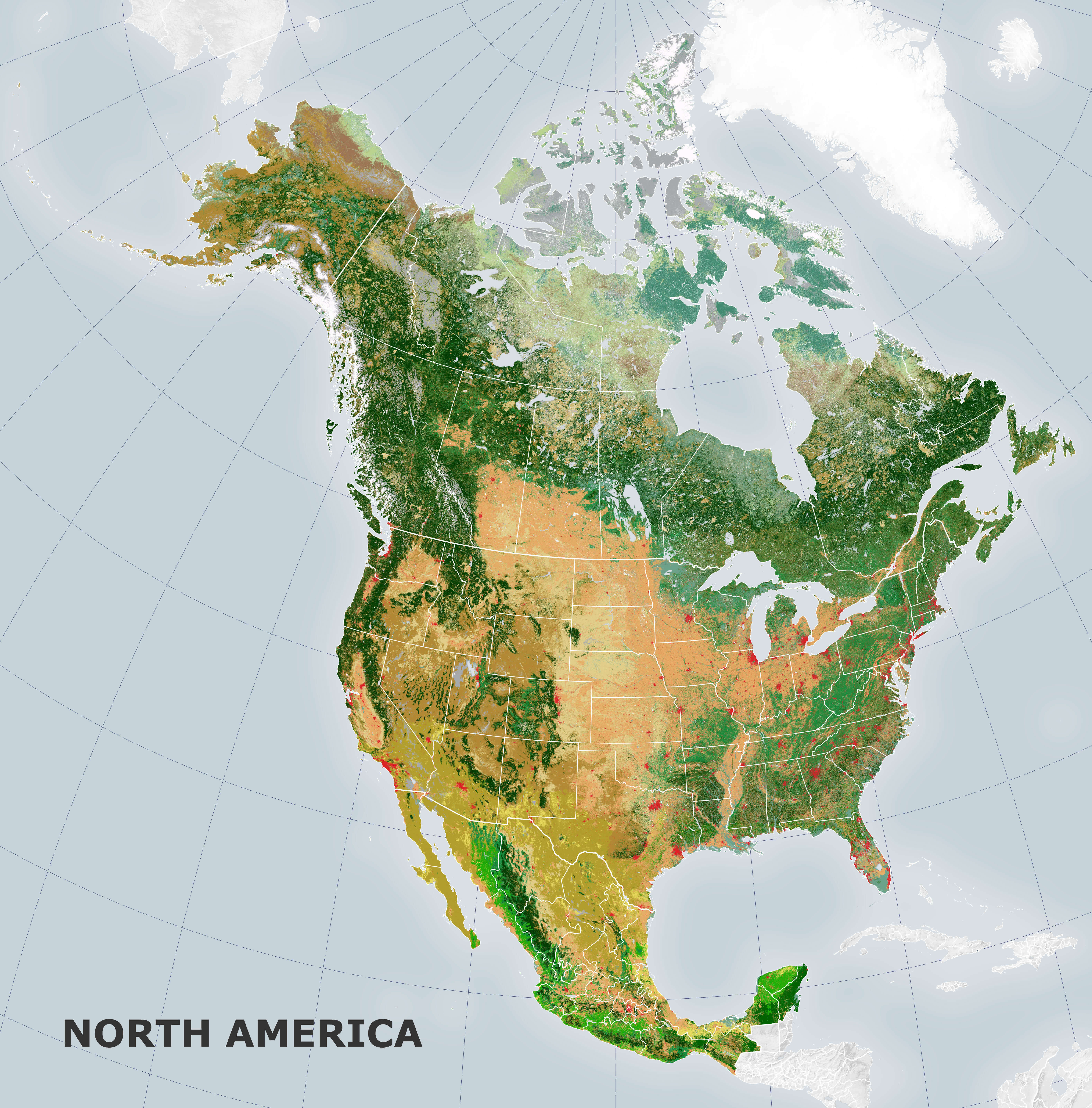 North America satellite physical map
