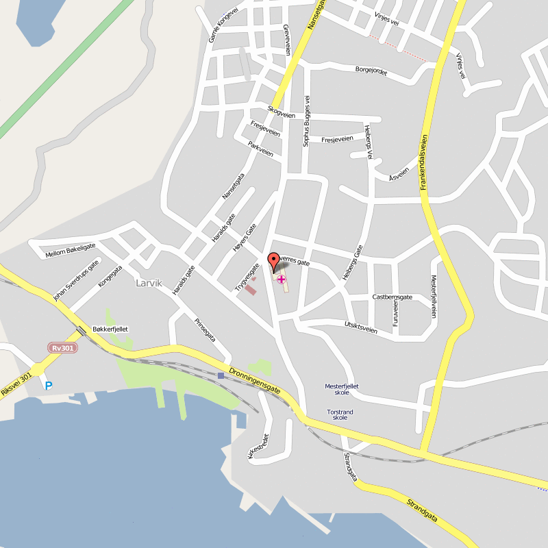 Larvik map