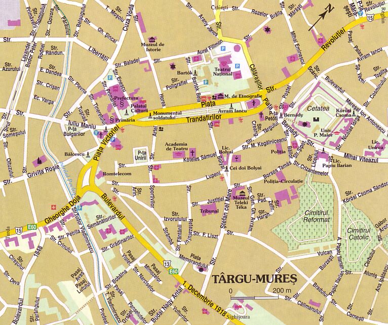 Targu Mures map