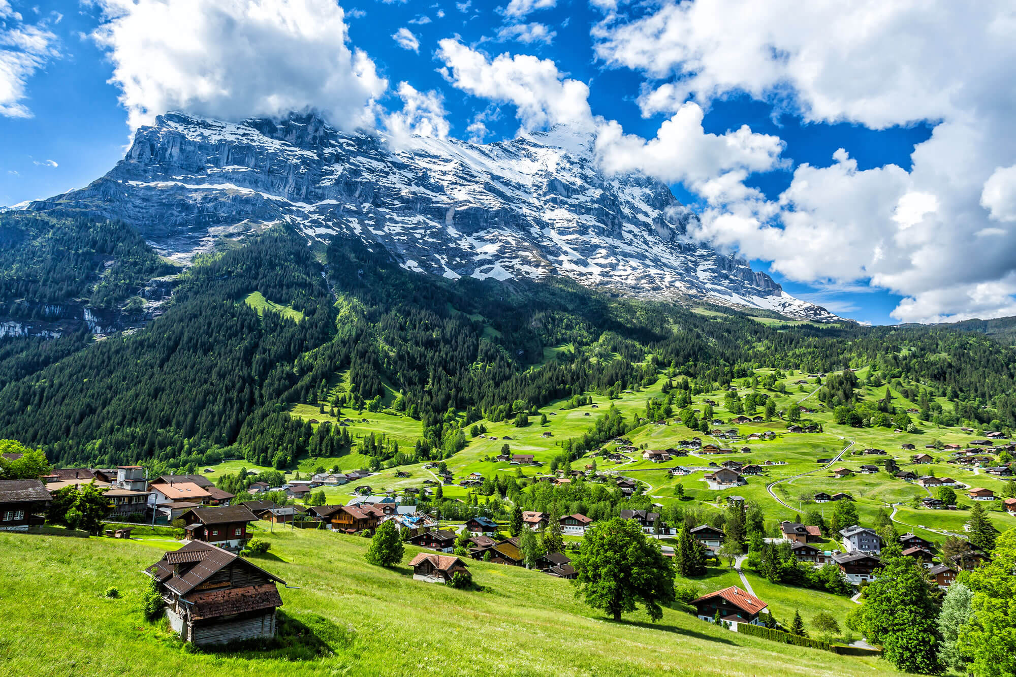 Grindelwald Landscape Switzerland