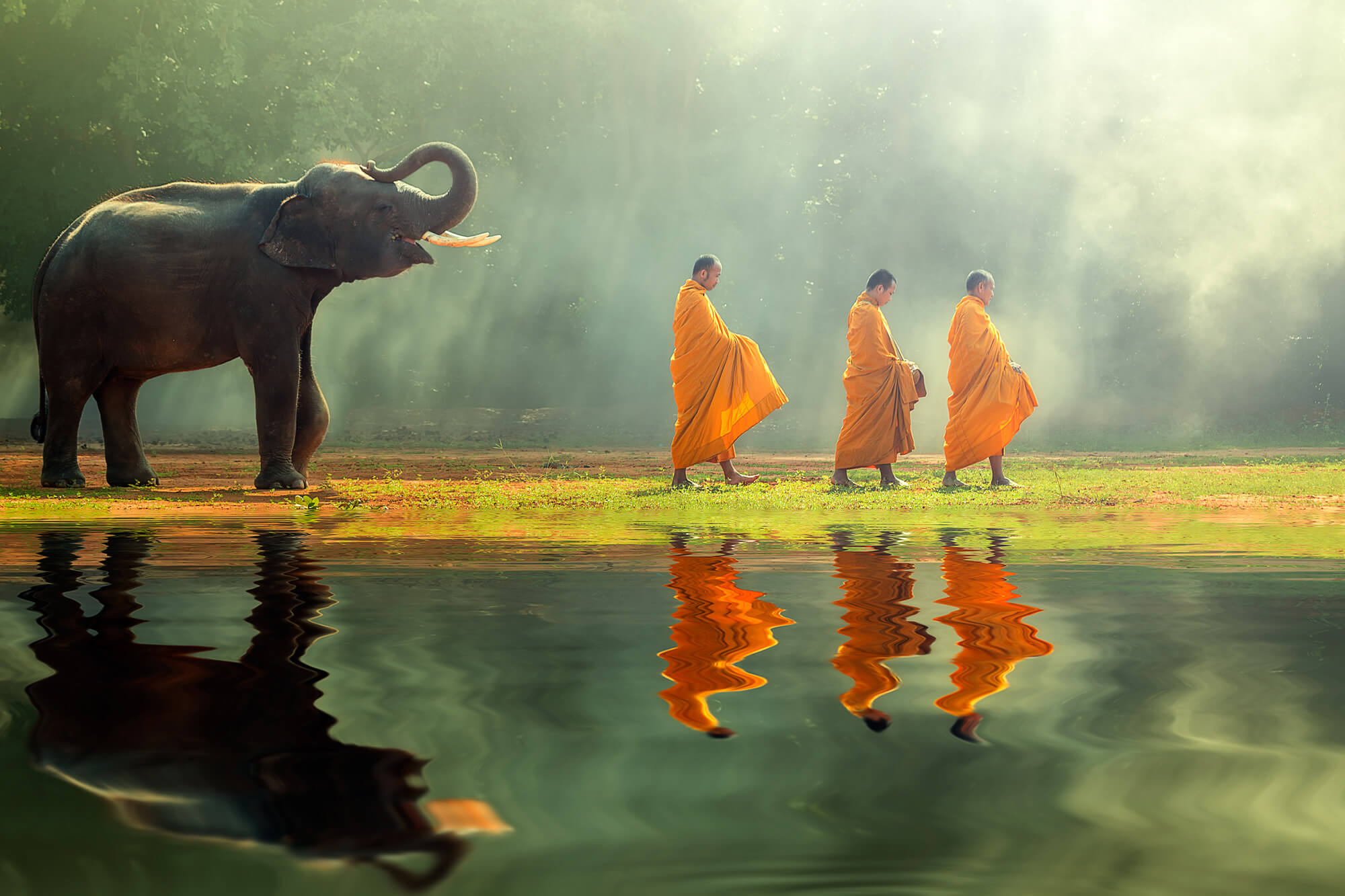 elephant monk thailand