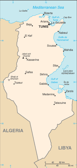 Tunisia Cities Small Scale Map
