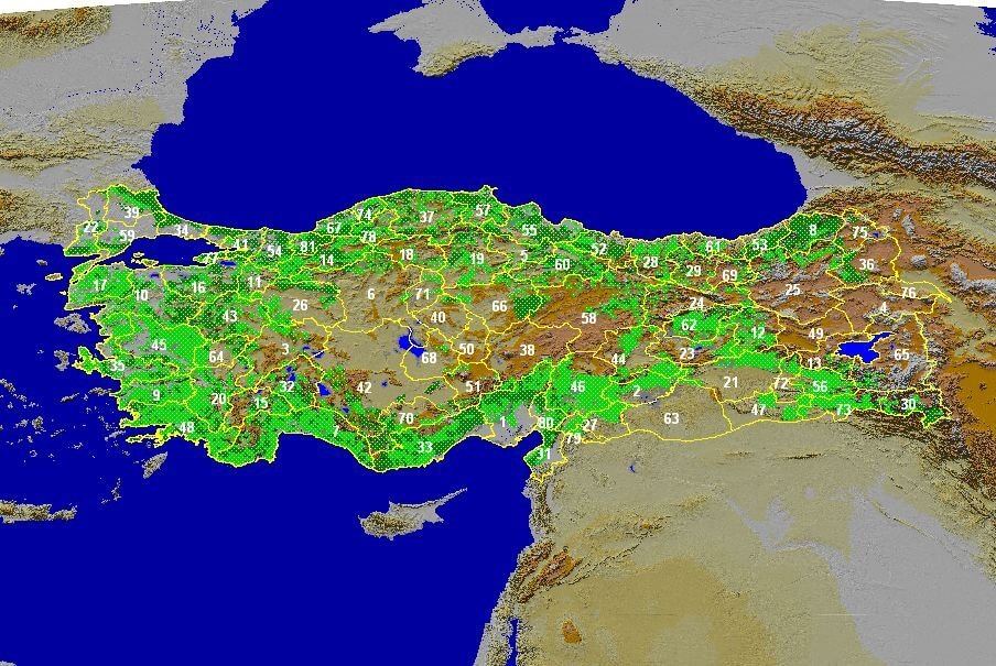 turkey forest map