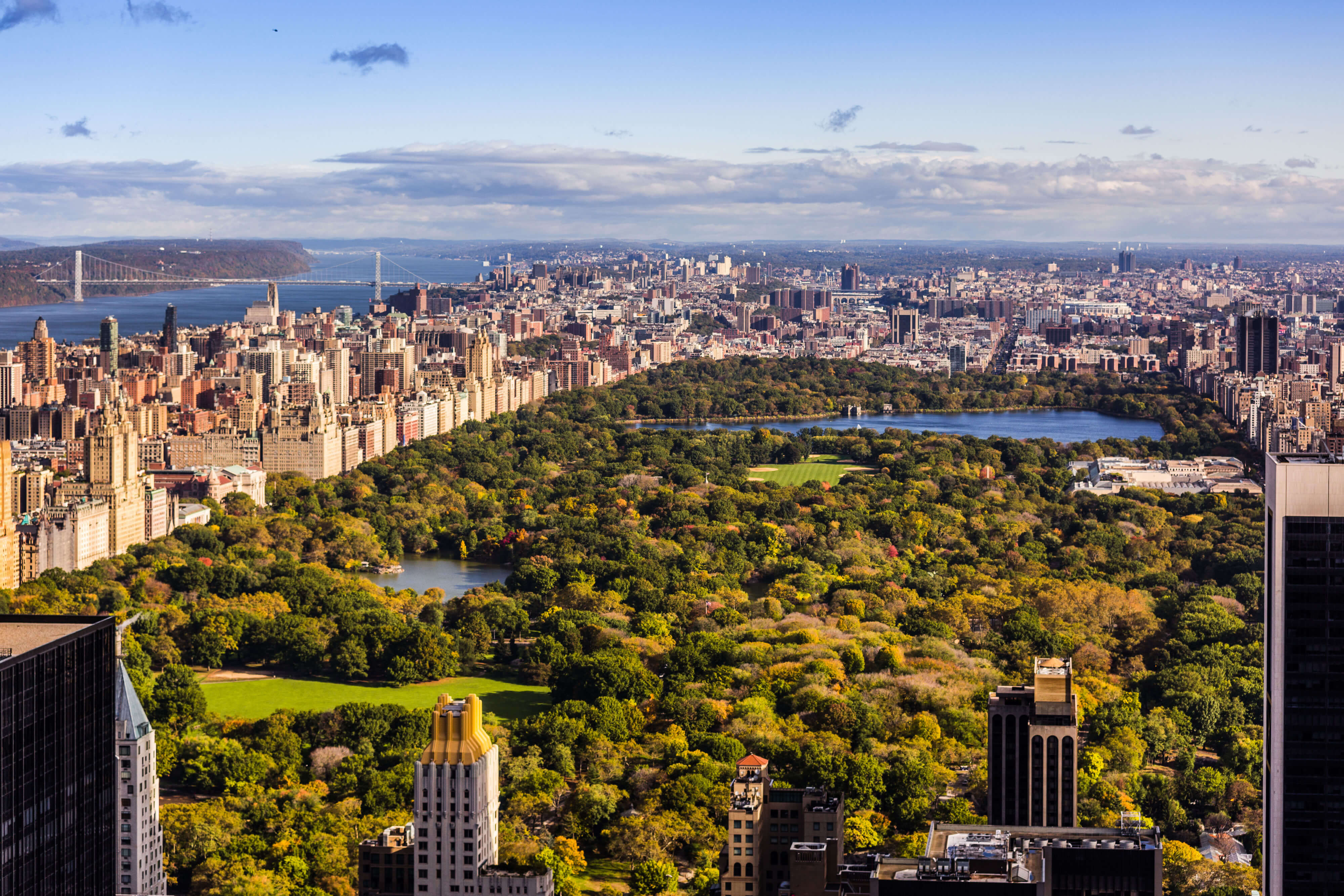 view over new york central park area