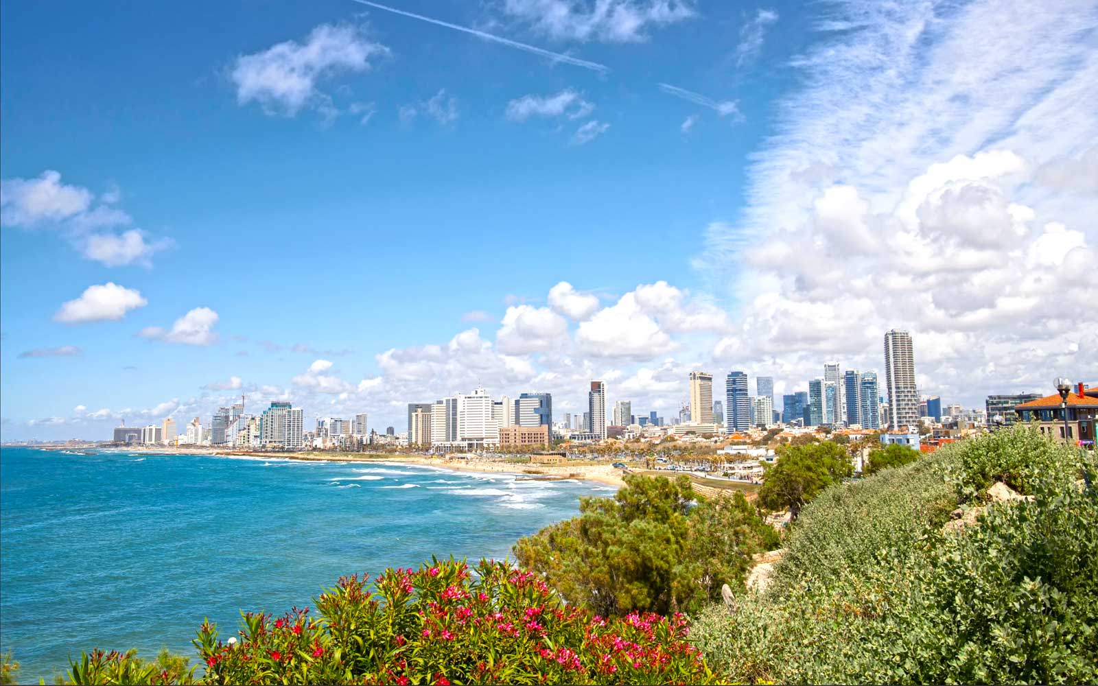 Tel Aviv City View