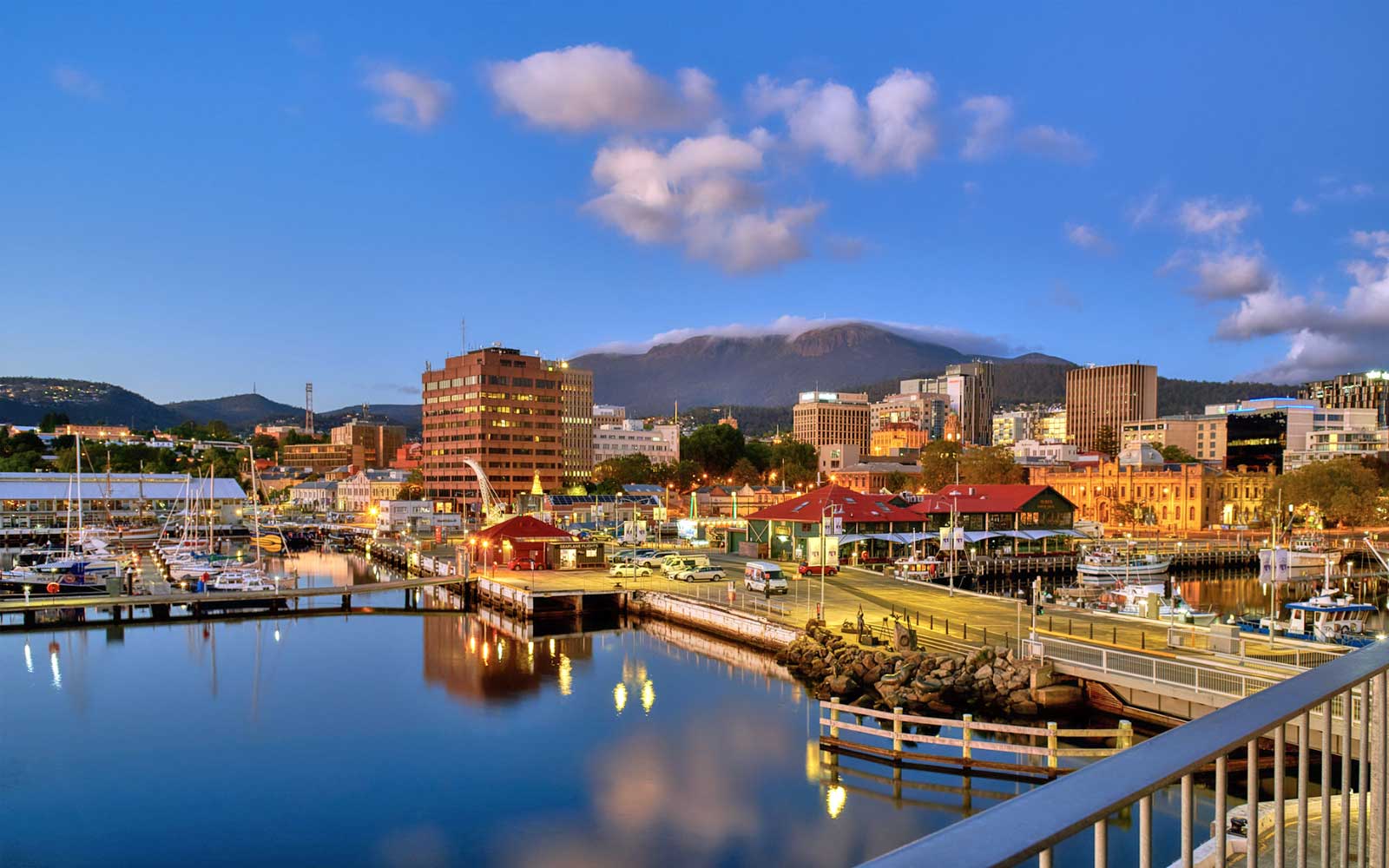 Hobart City View
