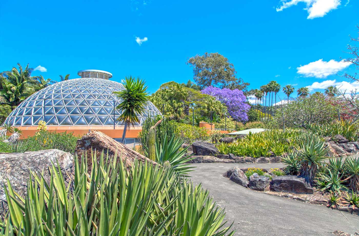 Brisbane Botanic Gardens Mt. Coot-tha