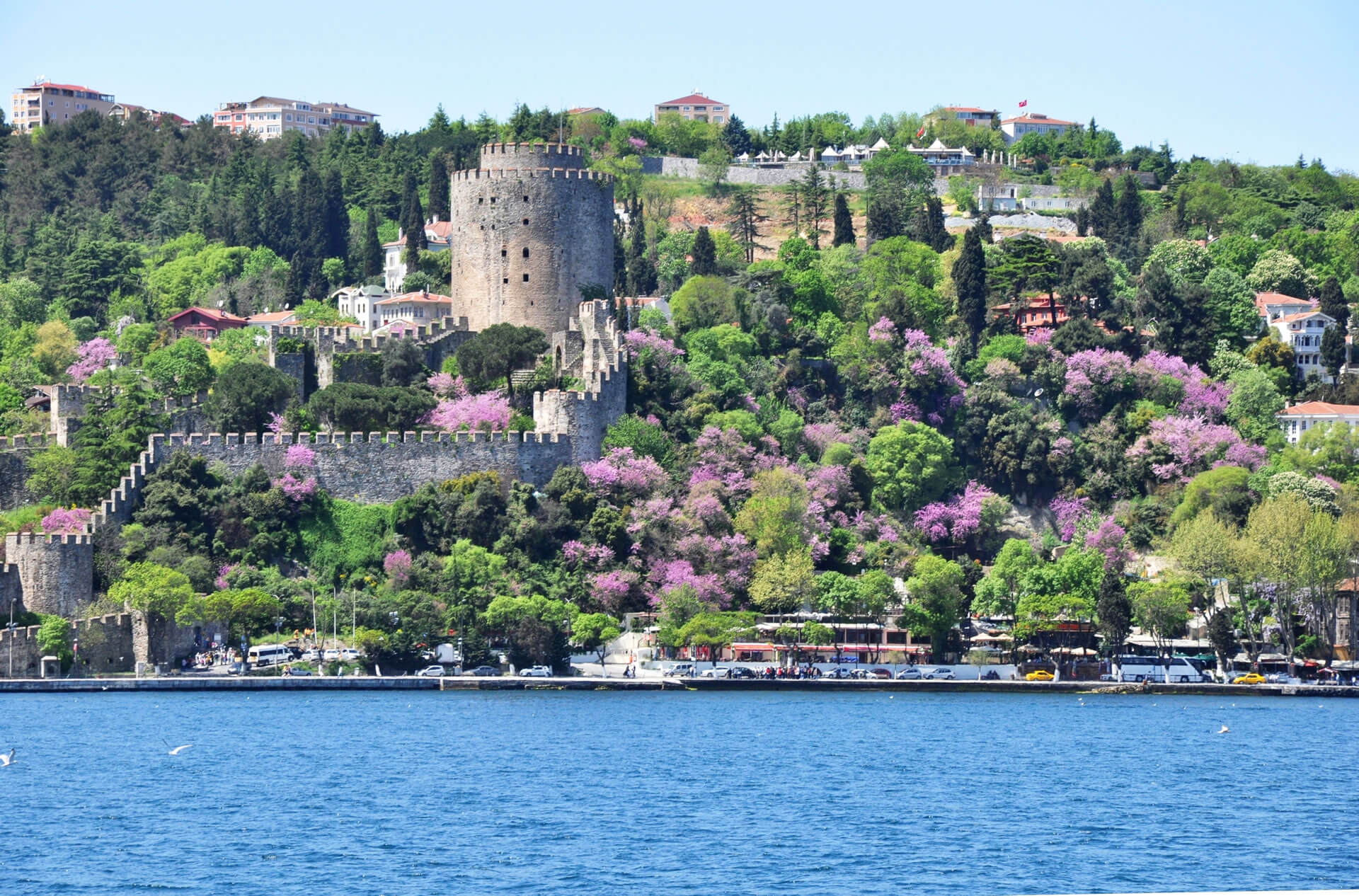 Bosphorus Tour - Bogaz Turu